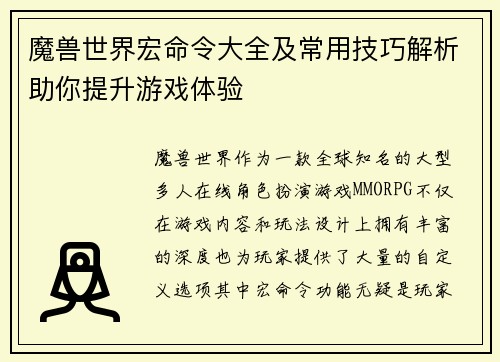 魔兽世界宏命令大全及常用技巧解析助你提升游戏体验
